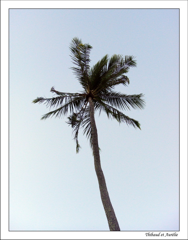 2009 - 08 - Tahiti 04